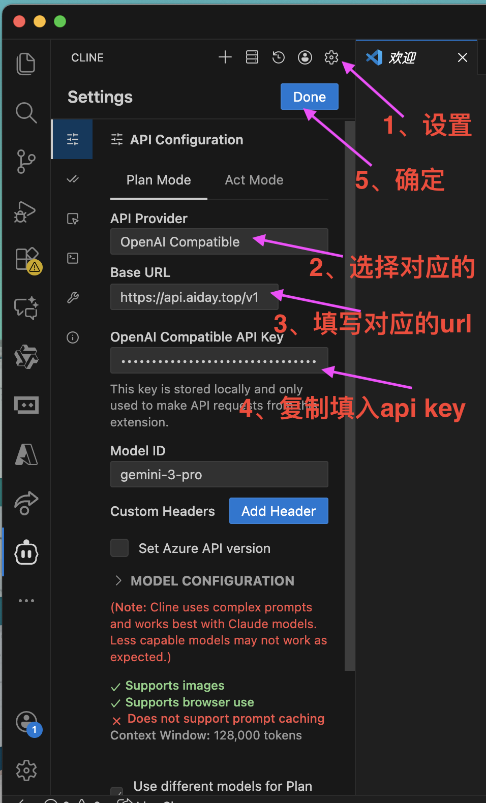 Cline配置界面截图